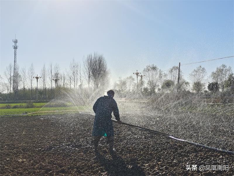 村支书回应男子回乡种地麦田被毁事件，正义与责任的交织_解释定义