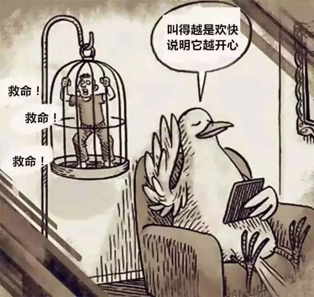 人类被反向驯化_反馈实施和计划