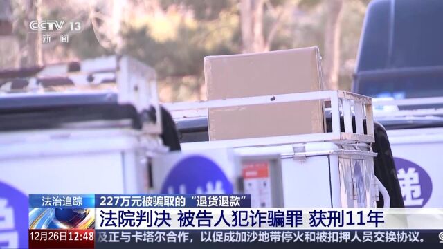 男子恶意退货骗取227万元获刑11年，警示电商时代的诚信危机与法治力量_落实到位解释