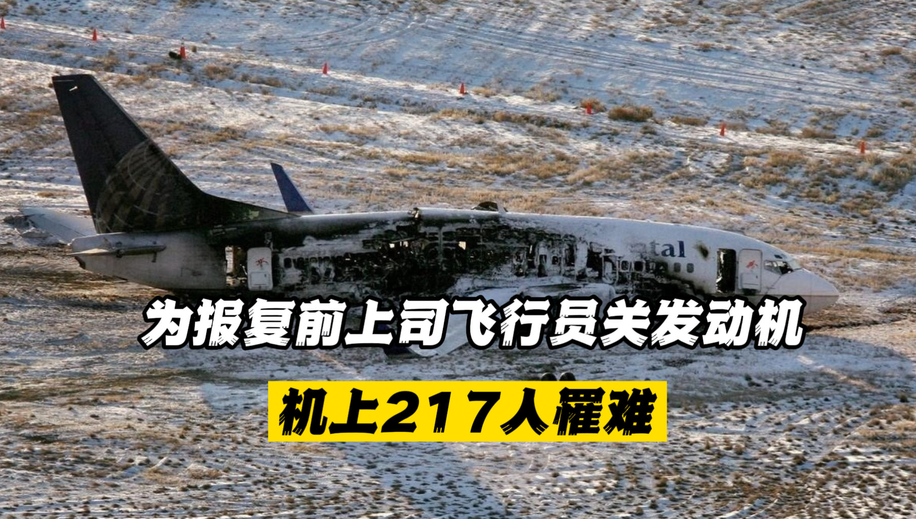 韩国空难震惊全球，179人确认遇难，悲痛与哀悼交织_动态词语解释落实