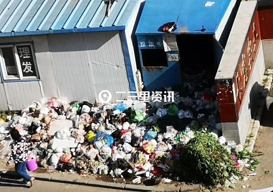 辽宁某地垃圾遍地无人清理现象背后的回应_细化落实