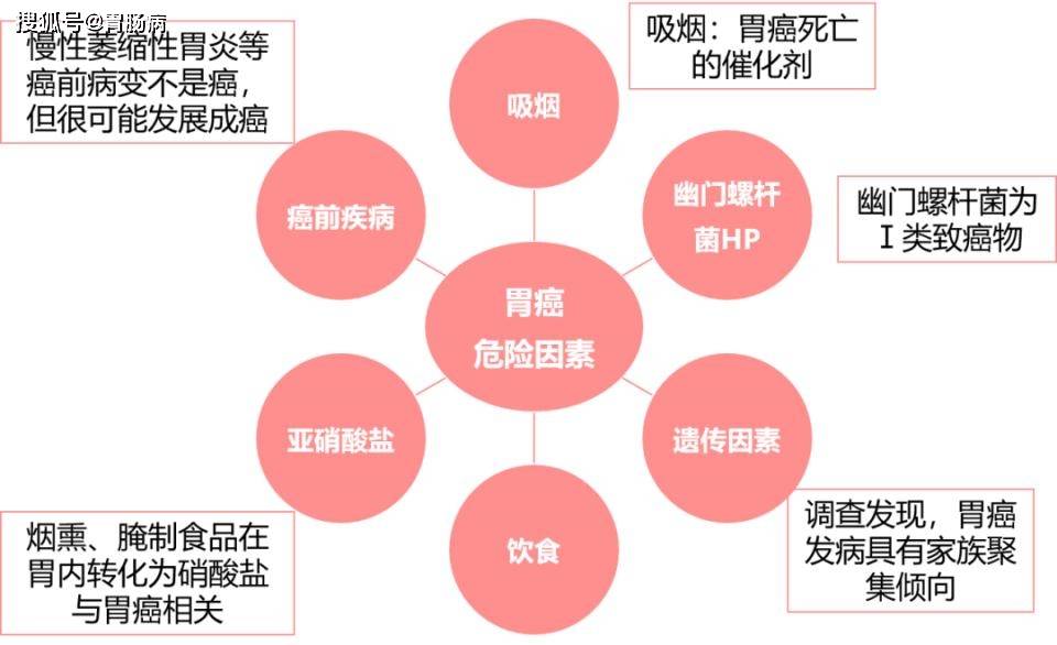 饥一顿饱一顿成年轻人胃癌重要诱因_逐步落实和执行