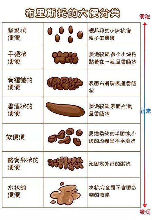 革新体检方式，以大豆酱替代粪便检测的探索_全新精选解释落实