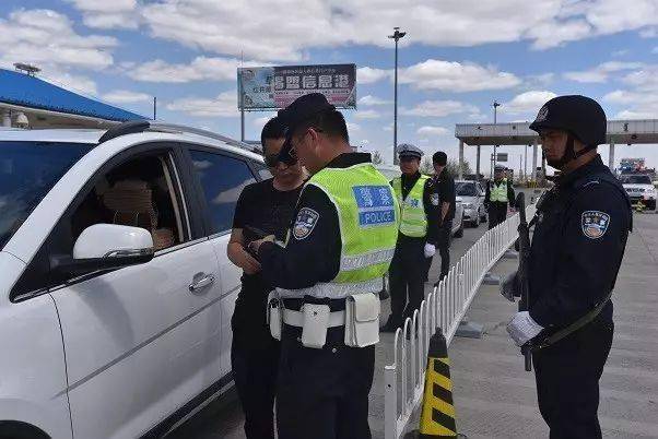 警察节体验排爆特警的一天，致敬英勇无畏的守护者_精选解释落实