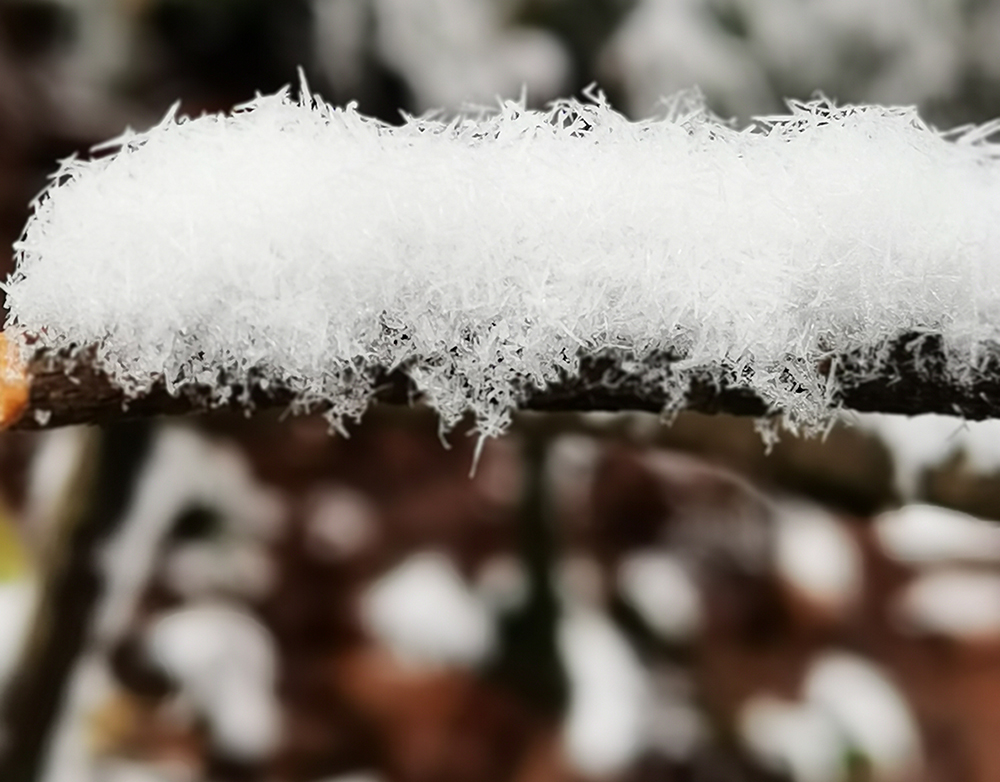 云南迎25年首场降雪，瑞雪兆丰年，银装素裹美不胜收_反馈评审和审查