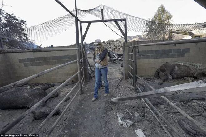 一、标题，洛杉矶兔子博物馆遭遇大火摧残，历史记忆化为灰烬_解释定义