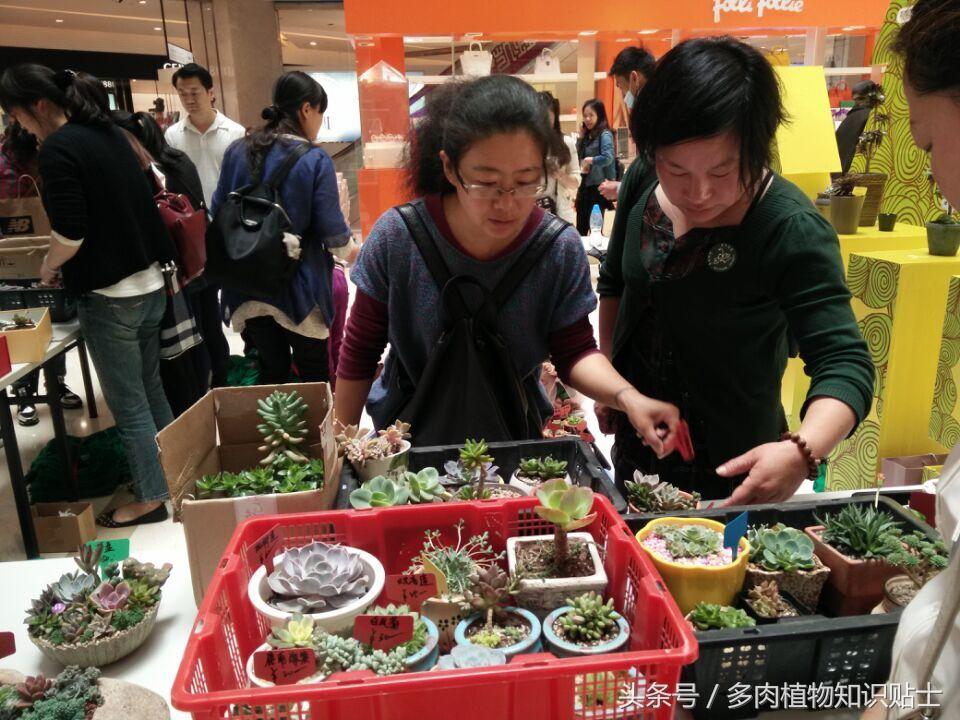 学生街头义唱，为白血病同学燃起生命的希望之光_解释落实