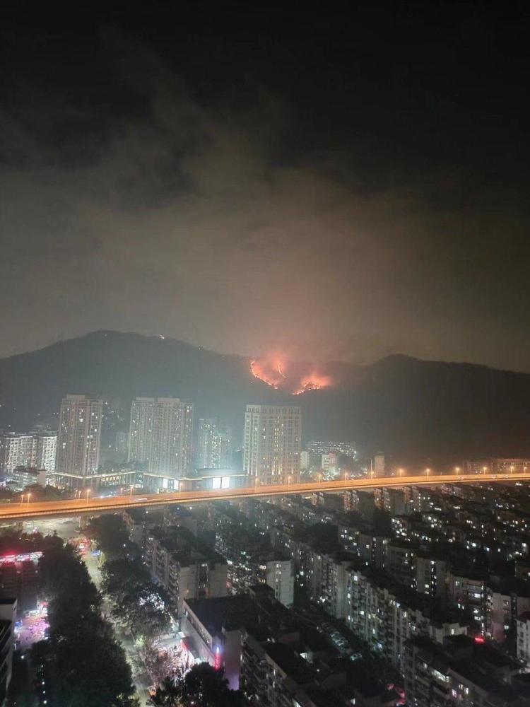 香港突发山火，深圳视角下的火线危机_精密解答