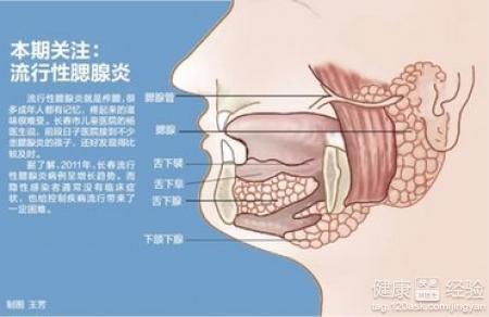 7岁女童感染甲流后去世的悲痛事件，反思与启示_反馈内容和总结