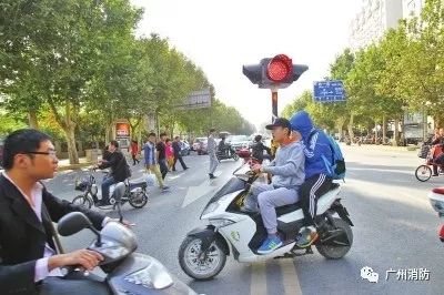 女子因电动自行车罚款状告市政府，法治下的公民权利与公共责任之争_全面解答