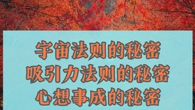 好运显化法则，掌握人生航向的十大智慧_知识解答