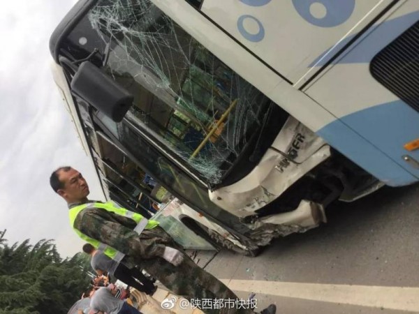 列车因撞鸟临时停车，人与自然和谐共行的思考_反馈机制和流程