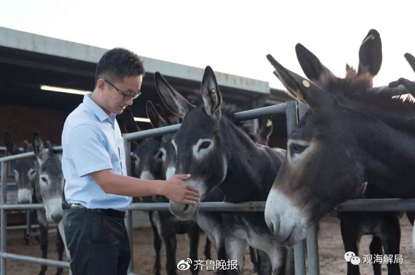 与辉同行带货阿胶茶疑未检出驴成分事件分析_解释落实