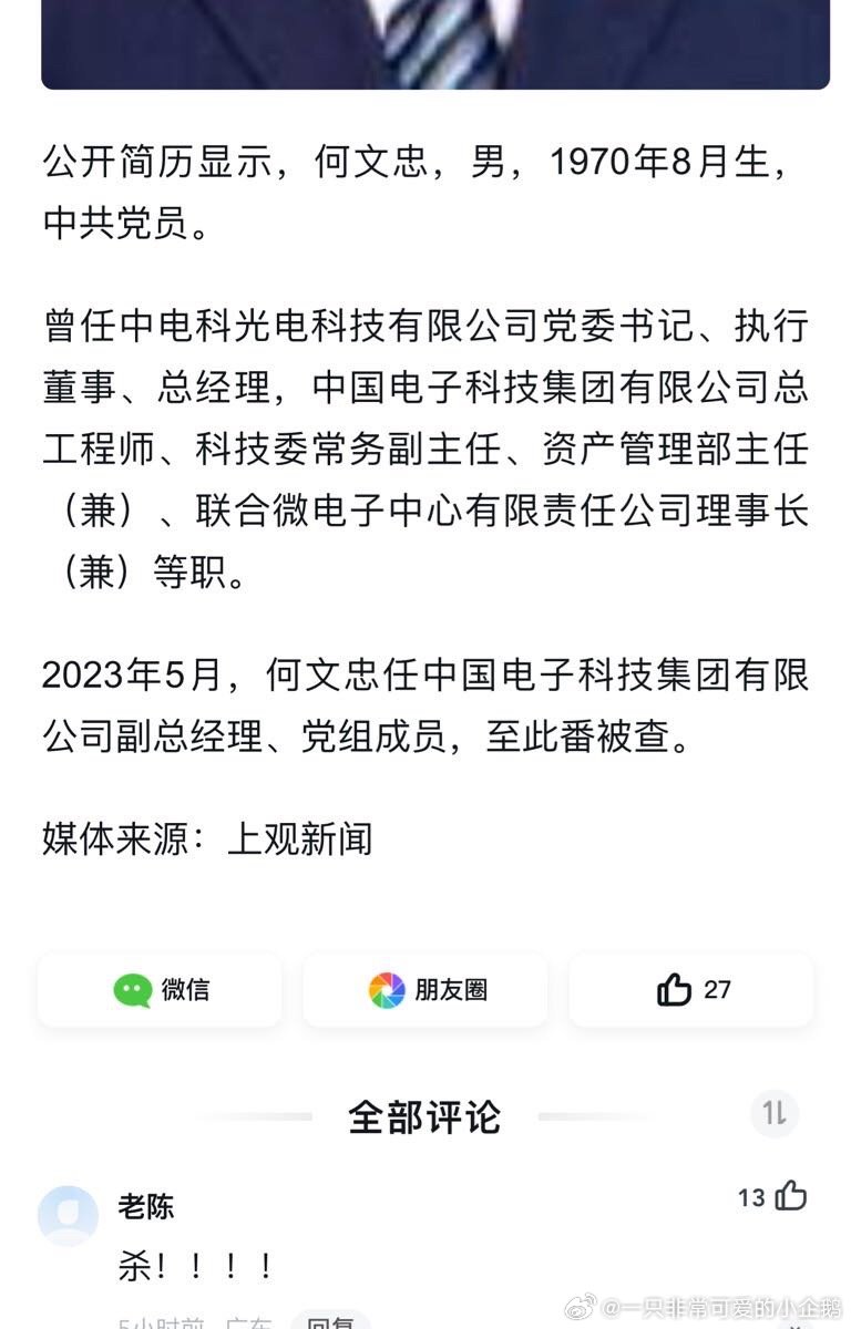 何文忠被公诉案件深度解析_动态词语解释落实