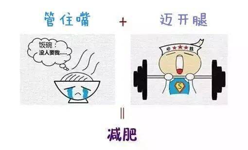 这下春节能管住嘴了，美食与健康共舞的新篇章_反馈评审和审查