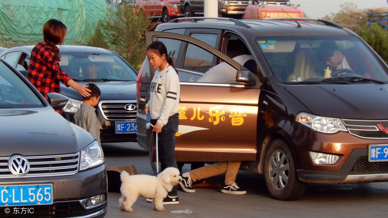 返乡狗狗专属坐票，主人车顶的温馨之旅_科普问答