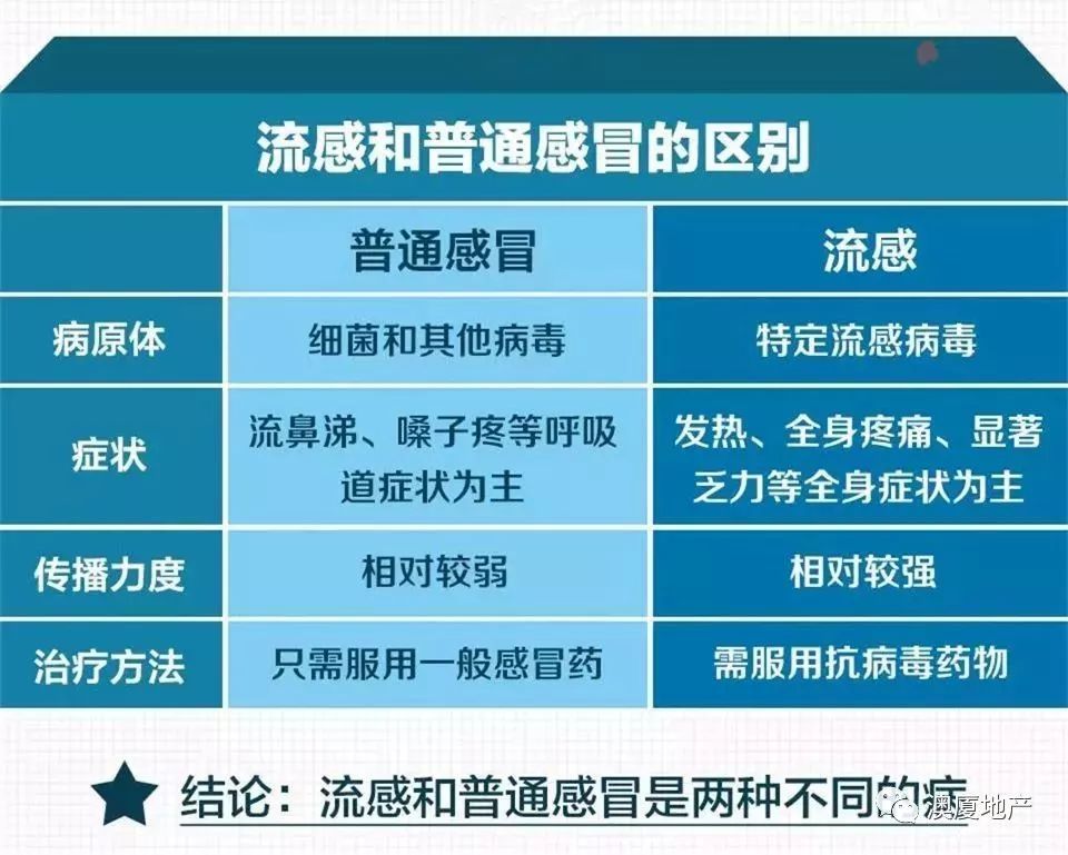 新版流感诊疗方案发布，新增两种药物引领治疗革新_词语解释