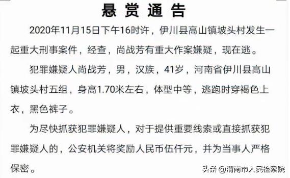 女童在高山走失，父亲悬赏百万寻人——爱的呼唤与社会的力量_精密解答落实