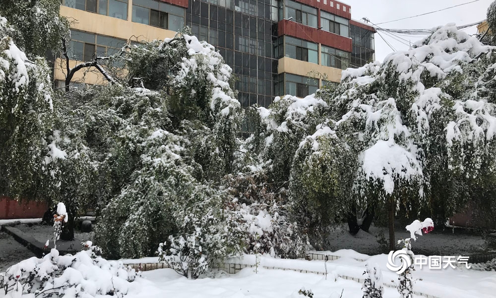 青海甘肃等地部分地区遭遇罕见大雪天气_动态词语解释落实