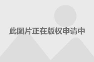 内地两名学生被骗近千万，李家超作出回应——警醒社会的警钟与行动_反馈分析和检讨