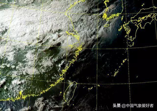 多地将冻成这样紫，寒冬中的冷与暖_实施落实