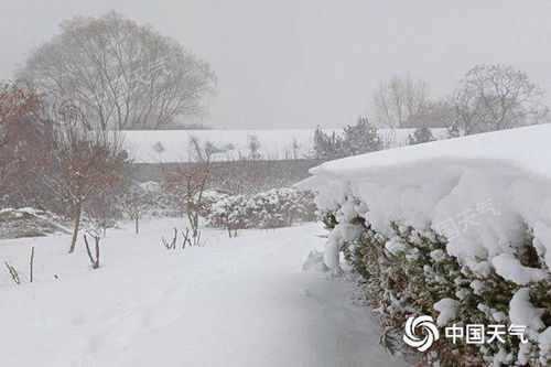 河南局地暴雪，影响与挑战_细化方案和措施