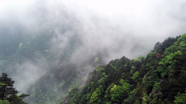 江西庐山嶙峋独峰顶惊现人影，神秘事件揭秘_知识解释