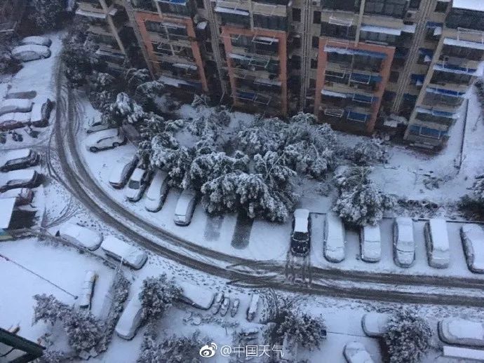 西安下雪了，古都的冬日韵味与浪漫情怀_反馈目标和标准