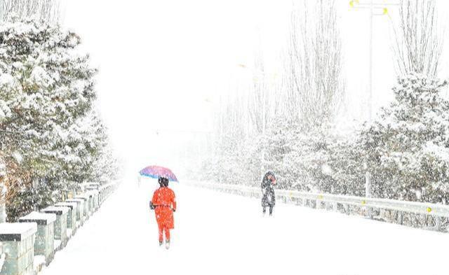 河南多地降下鹅毛大雪，冬日奇景展现壮丽画卷_精准解释落实