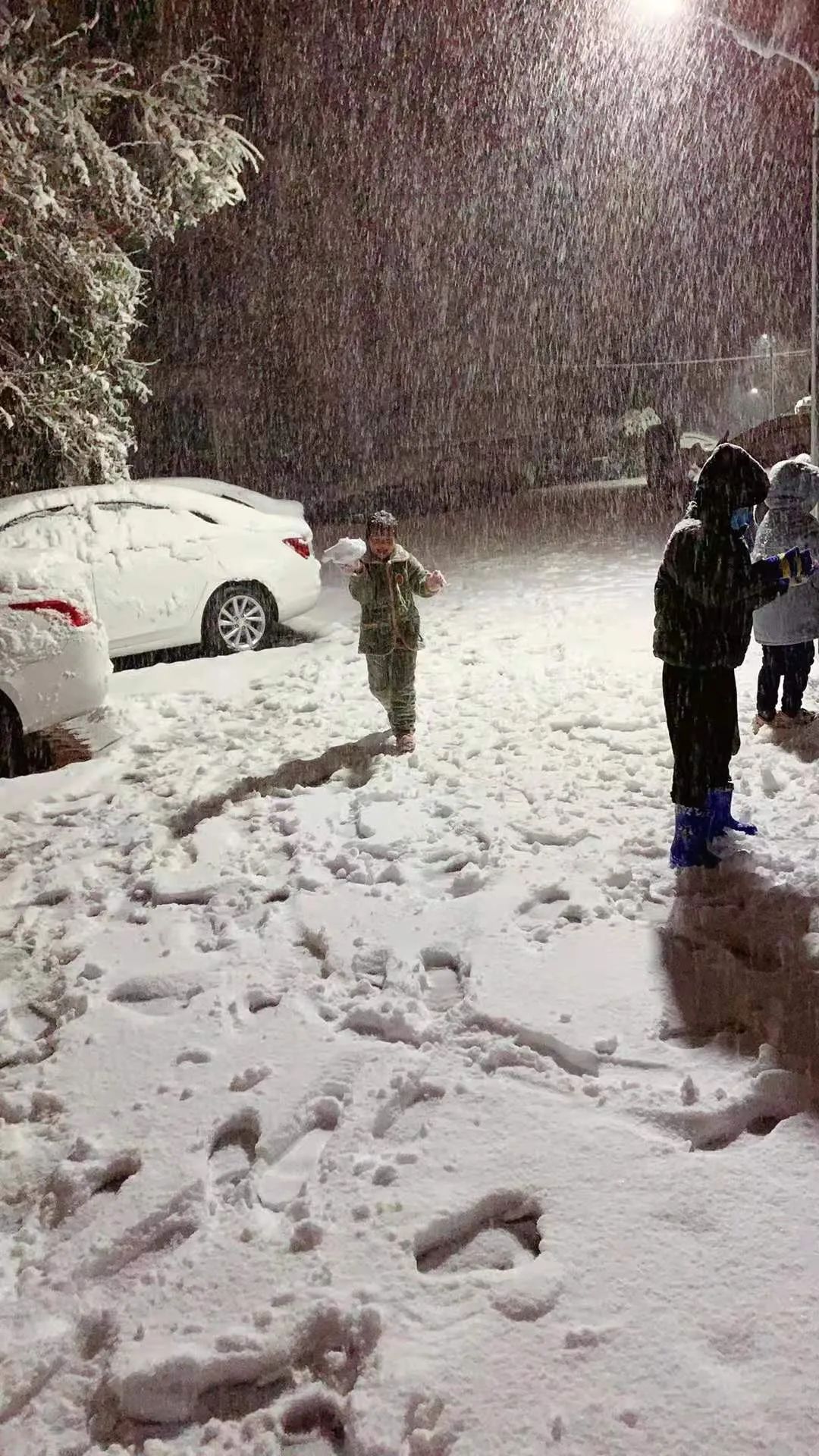 郑州遭遇大暴雪，挑战与希望并存_权限解释落实