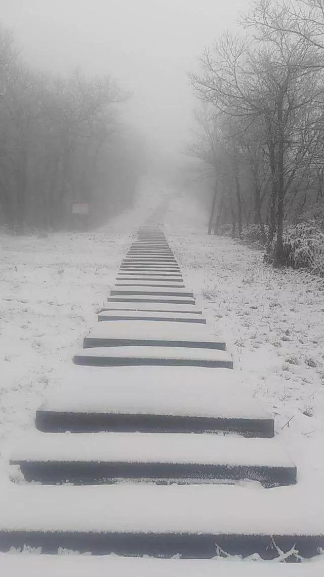 男子山上拍下现实版鹅毛大雪，壮丽冬景震撼人心_贯彻落实