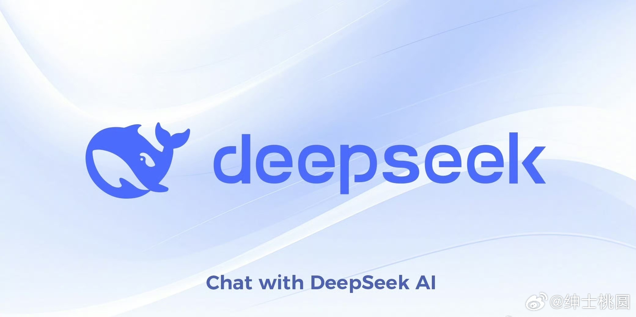 DeepSeek遭遇大规模恶意攻击，安全挑战与应对策略_精准落实