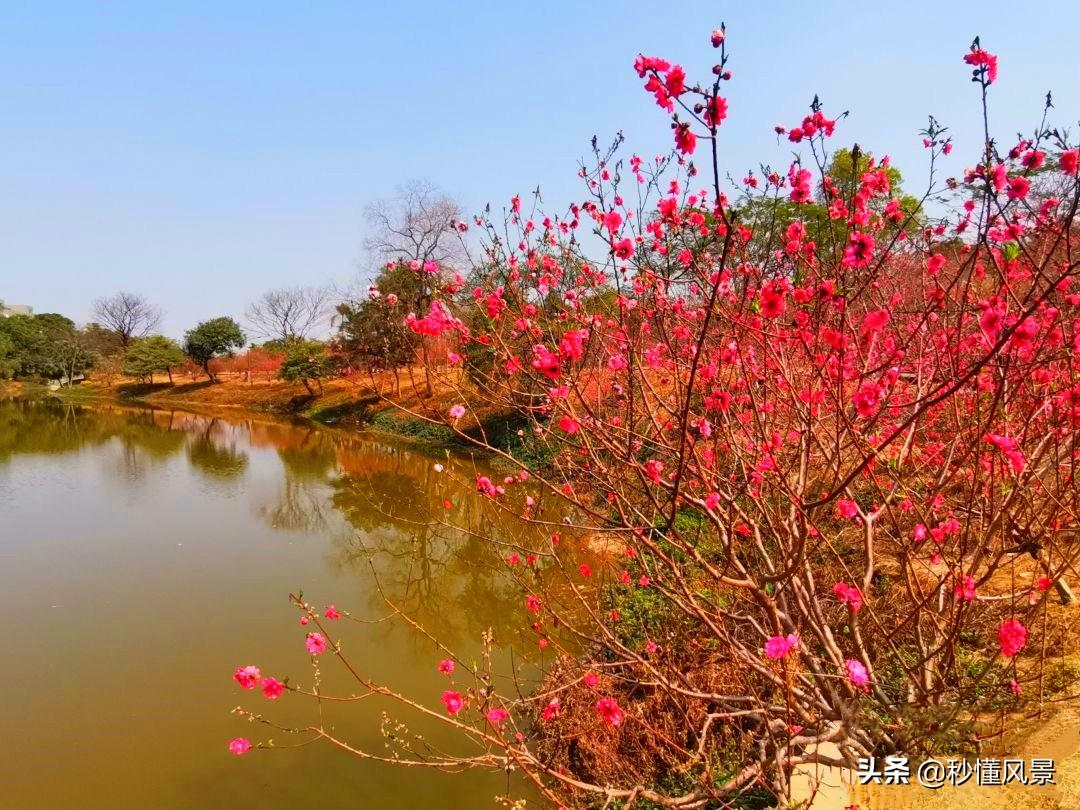 色彩里的春节，一场缤纷的庆典盛宴_实施落实