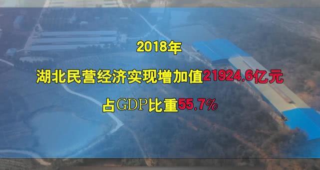 周鸿祎称将送汽车的CEO来自湖北，跨界合作与创新驱动发展的深度解读_权限解释落实