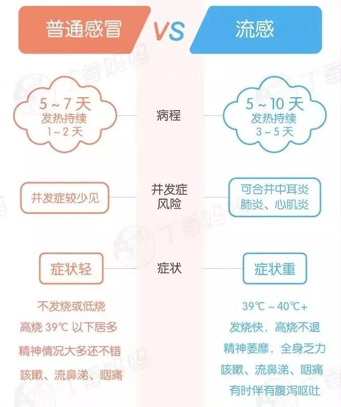 流感不是普通的重感冒，全面解析与防范策略_逐步落实和执行