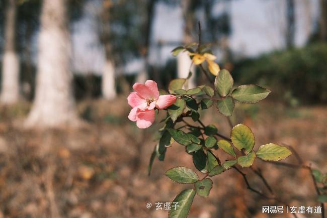 立春躲春的正确方式_解答解释落实