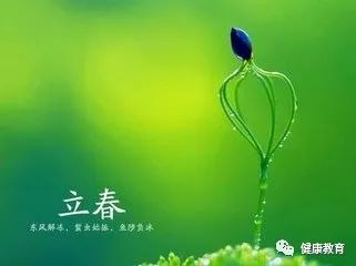 立春养肝好时节，守护健康的黄金时段_反馈实施和计划