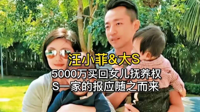 大S去世后儿女的抚养权归谁，深度解读与考量_最佳精选