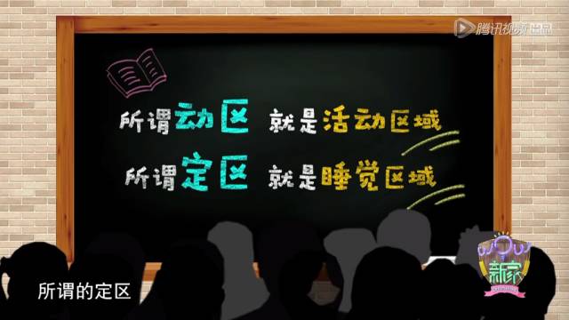 挑战爆改老妈，一场充满爱与智慧的改造之旅_知识解答