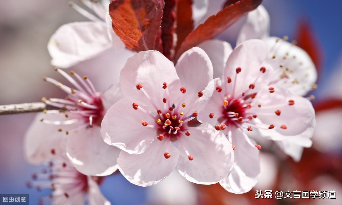 冰雪同梦——共绘冬奥画卷_词语解释