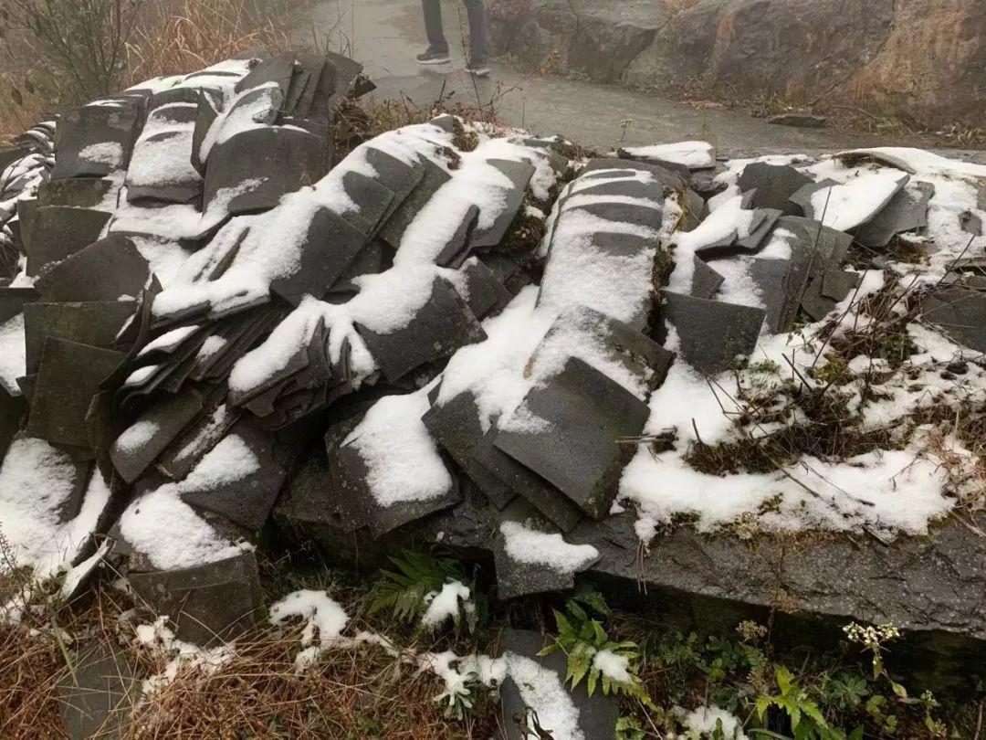 雪鸭子占领海边石墩，一场意料之外的领地争夺战_动态词语解释落实