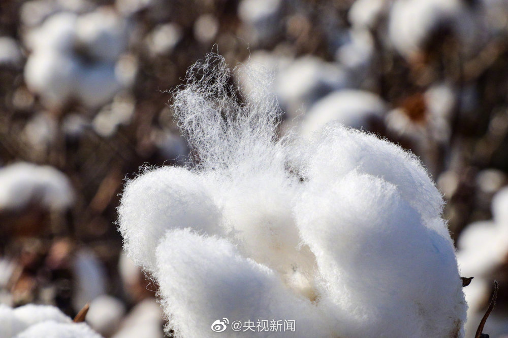 用棉花替代真雪景区致歉并关闭，重塑旅游体验的责任与担当_反馈机制和流程