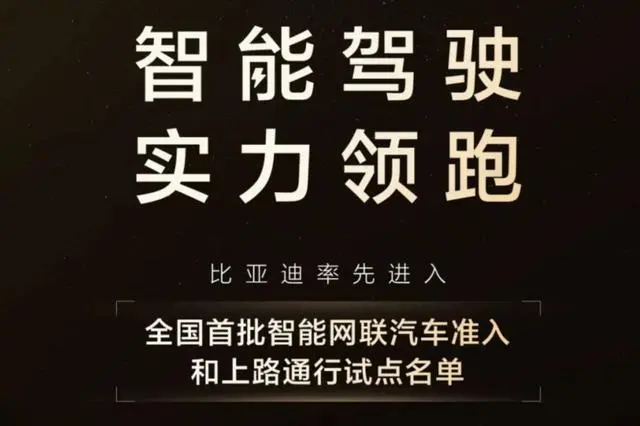 比亚迪掀起智驾普及风暴_效率解答解释落实