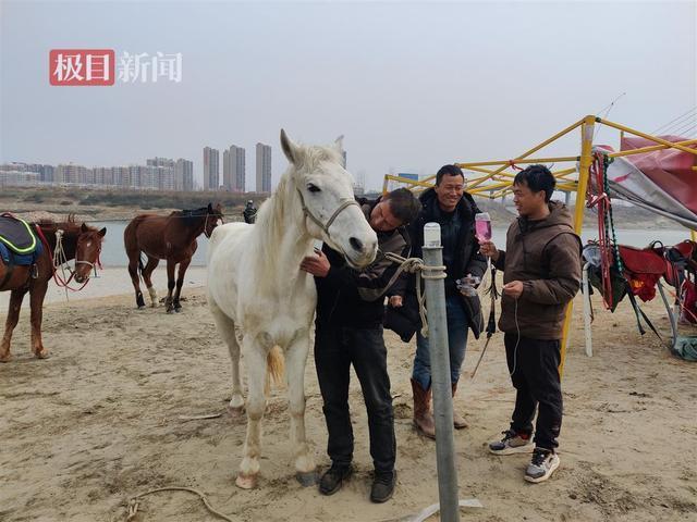 下水救人，白龙马病情反复_反馈记录和整理