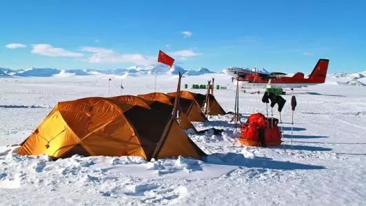 中国游客南极之旅遭遇天气滞留，额外花费高达二十万_逐步落实和执行