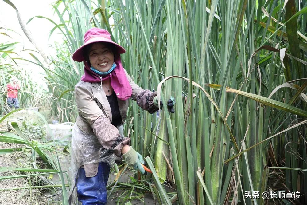 张核子上传乘坐商务座视频引发的热议_动态词语解释落实