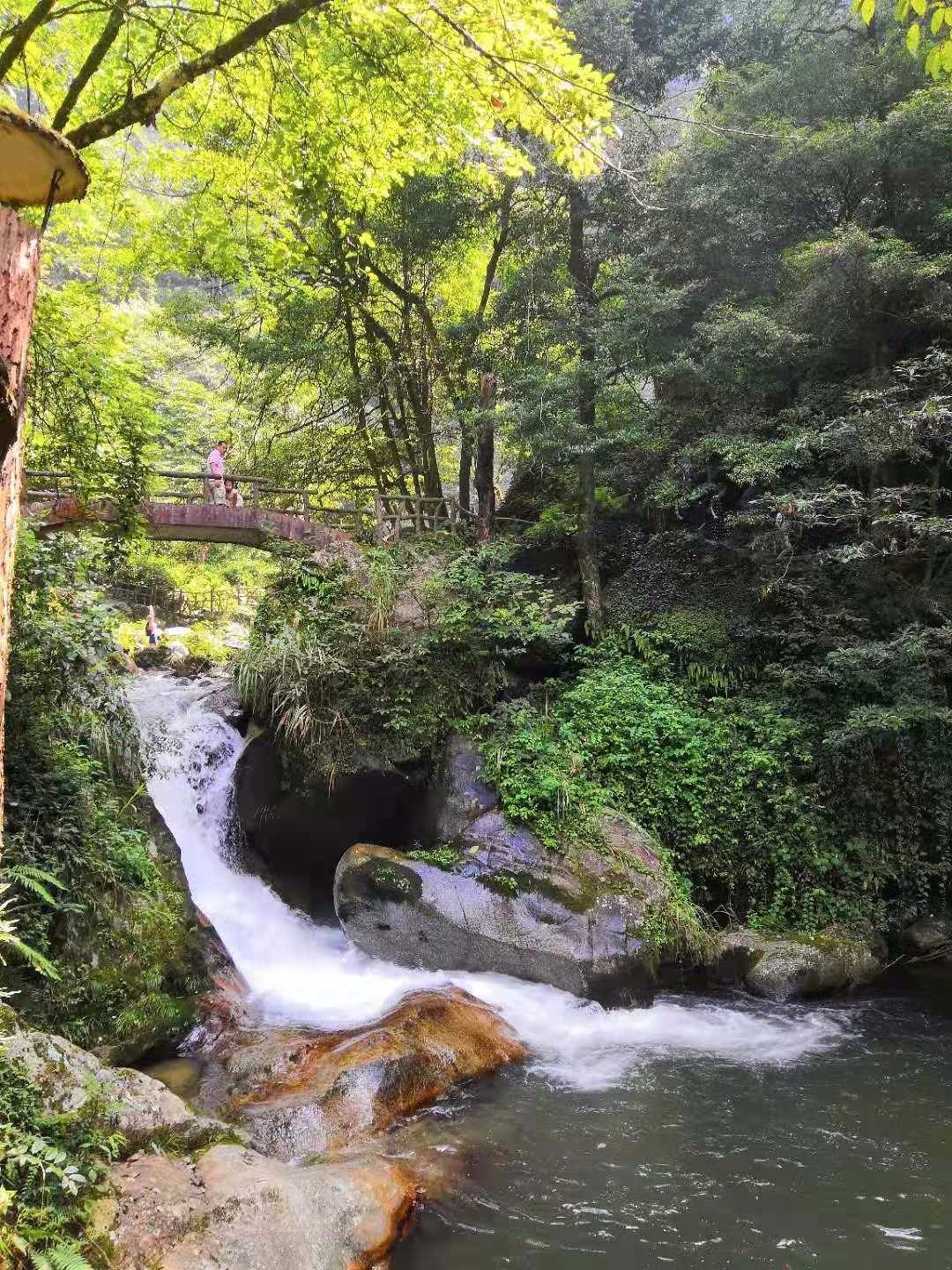 揭秘湖南商家加工穿山甲，背后的故事令人震惊！_全面解答解释落实