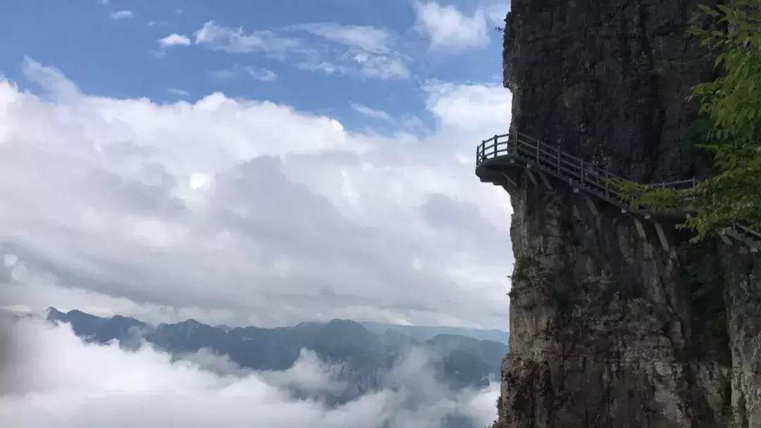 震撼！湖北景区全新体验，机器腿引领旅游新革命！_反馈分析和检讨