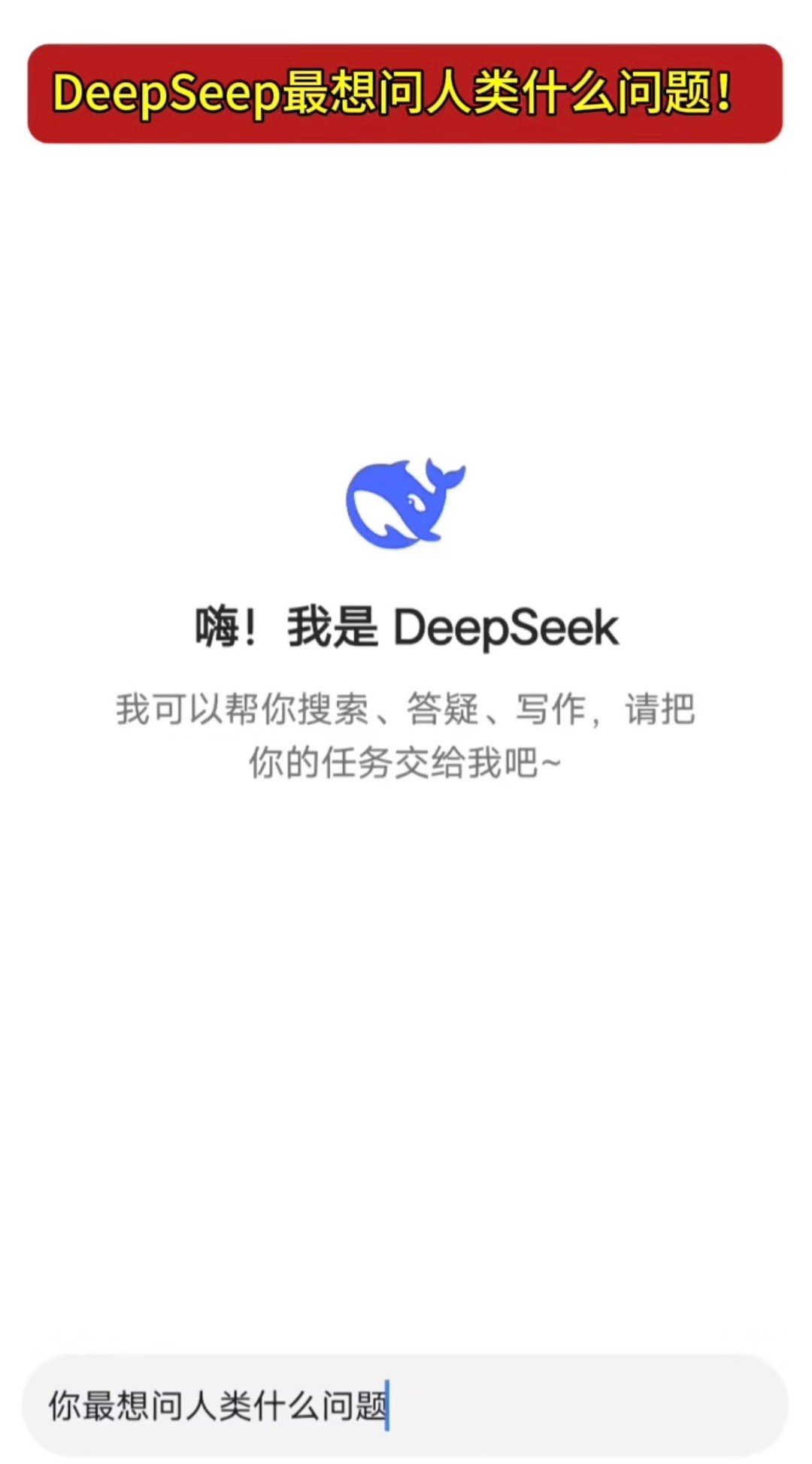 揭秘DeepSeek，热门问题集结，探寻用户关注点深度解析_反馈实施和执行力