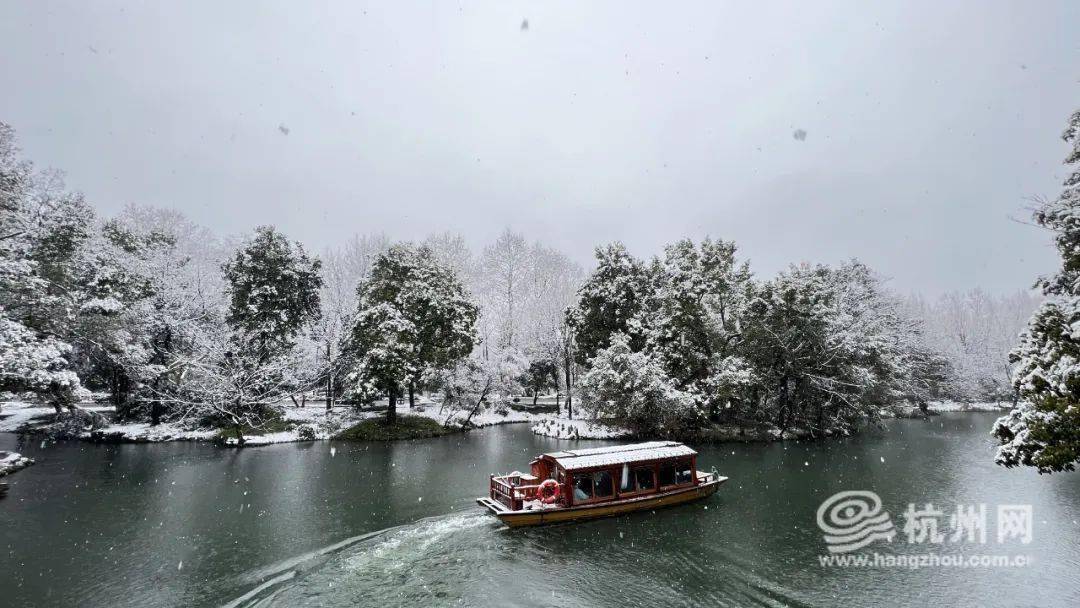 杭州突发大到暴雪预警！紧急应对攻略，关乎你我他！_反馈落实